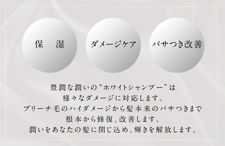 アペルタムシャンプーリッチモイスチャー レフィル_OS058-0008