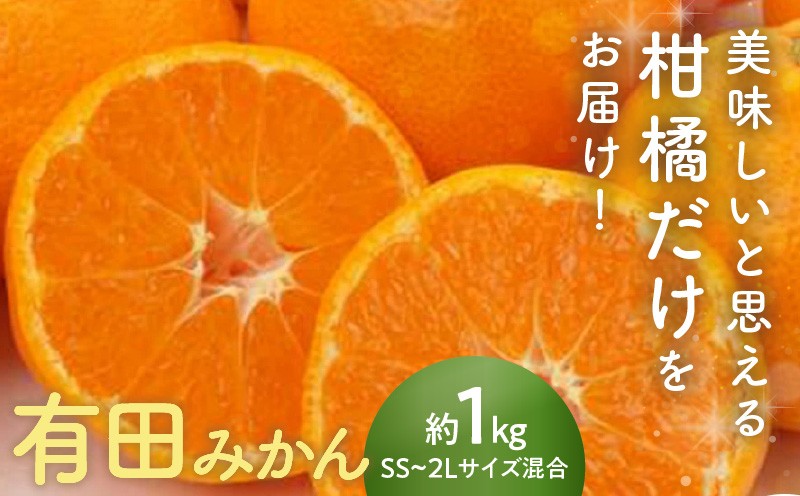 
                  AN6114_【2026年先行予約】有田みかん1㎏サイズ混合
                