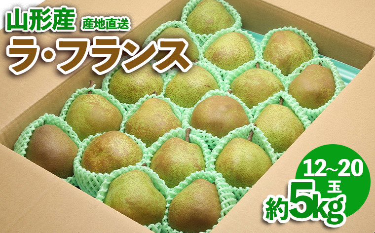 
                  山形産 ラ・フランス 約5kg FZ23-587
                