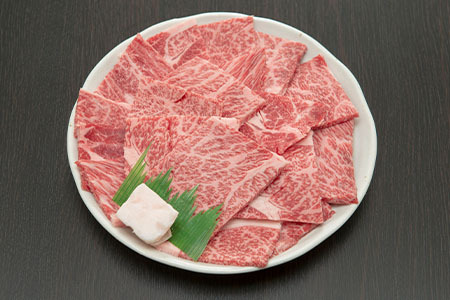 【ふるなび限定】飛騨牛 ロースまたは肩ロース 焼肉・BBQ用600g FN-Limited