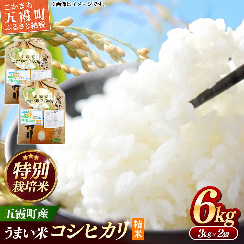 【ふるさと納税】【特別栽培米】五霞町産うまい米コシヒカリ（精米）6kg ／ 令和7年産 お米 白米 こしひかり 減農薬 減化学肥料 茨城県 認証 取得 健康 環境【価格改定XA】