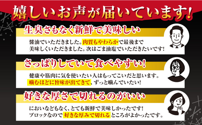 赤身 馬刺し (400g) 【五右衛門フーズ】 [YBZ023]