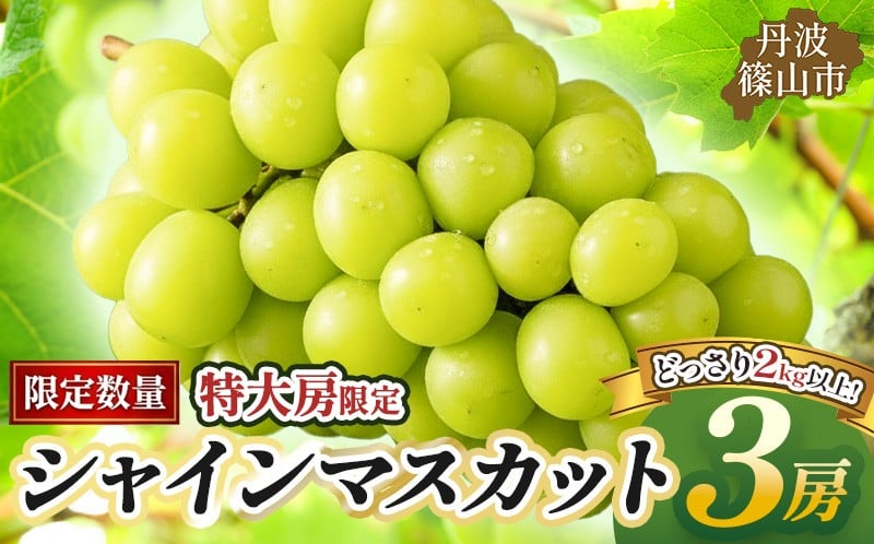 
            【早期予約・数量限定】丹波篠山産 大粒だけ シャインマスカット 〈3房・2kg以上〉　マスカット 農家直送 期間限定 旬 果物 フルーツ ぶどう 葡萄 くだもの マスカット
          
