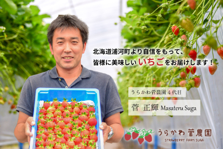 【今が旬！】北海道浦河産いちご「みくのか」230g×3P[13-1430]