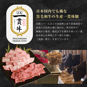 鹿児島県長島町産 黒毛和牛切り落とし (計600g・300g×2P) 牛肉 切り落とし 小分け 黒毛和牛 鹿児島 和牛 切り落とし 牛切り落とし 【宮路ファーム】f-miyaji-572｜ 牛肉 切り