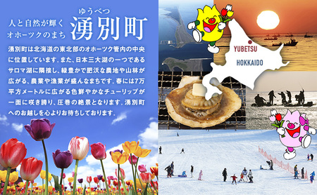 海洋熟成 日本酒「湧別」720ml×1本 【 酒 お酒 アルコール 特産品 湧別町 サロマ湖 海中熟成 上川大雪酒造 】 