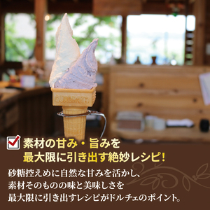 ジェラート イタリアンジェラート チョコミント 500ml