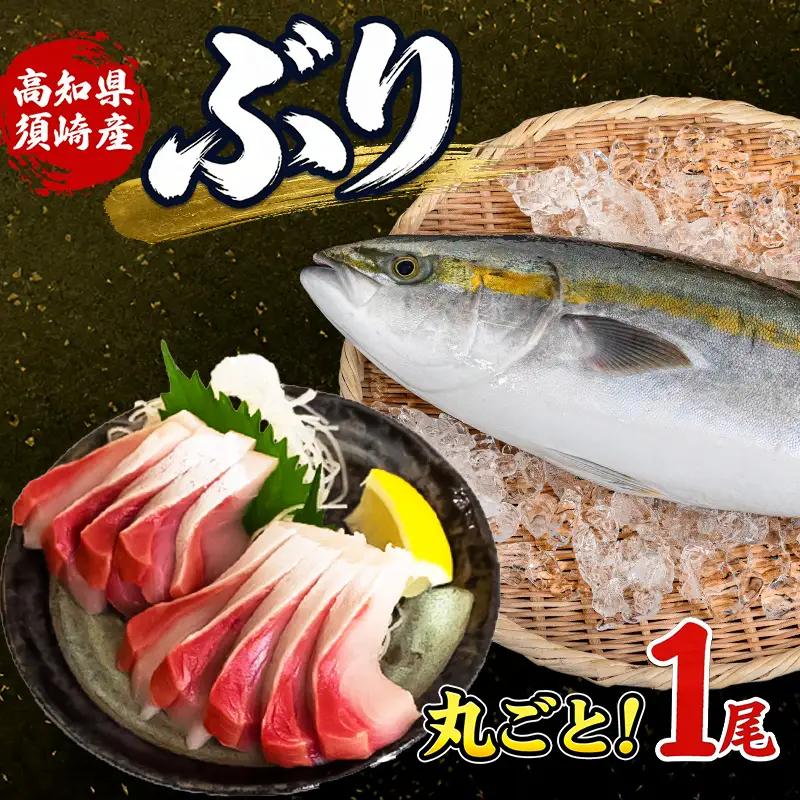 ブリ  丸ごと1尾   高知県 