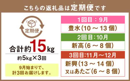 037-1054x1 【先行予約】【3回定期便】 3種の梨 食べ比べ 定期便 約5kg×3回 合計 約15kg【2025年9月上旬～2025年12月上旬発送予定】