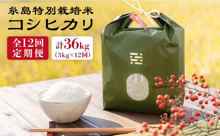 【全12回定期便】とくべつの中のとくべつ 糸島 特別栽培米 3kg （ コシヒカリ ）《糸島》【itoshimacco / 株式会社やました】 [ARJ022]