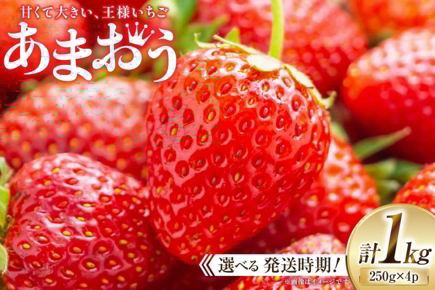 
            期間限定 いちご あまおう 250g×4パック 選べる発送月 [増田青果 福岡県 宇美町 um40beq650000] 苺 イチゴ フルーツ 甘い あまい 季節限定
          