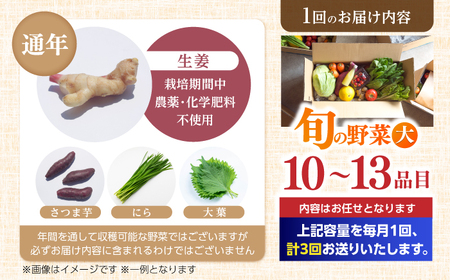 【3回定期便】 土佐の太陽をいっぱいに浴びた旬の野菜セット「大」 (3回配送)【土佐野菜】[ATBA008]