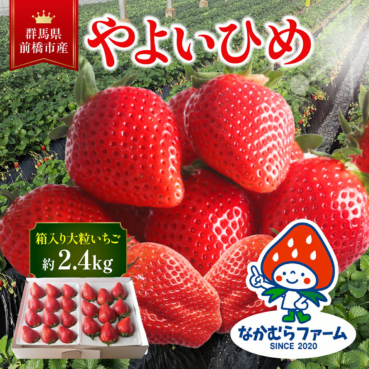 【ふるさと納税】いちご『やよいひめ』約2.4kg (2,400g)　【群馬県いちご品評会入賞！】