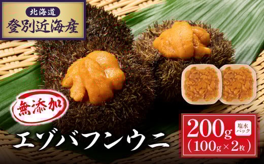 北海道 登別近海産　無添加　極上エゾバフンウニ塩水パック200g ※2025年6月よりお届け [mh-0480]