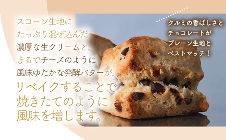 国産発酵バター仕込み濃厚リッチな九州産生クリームスコーン クルミチョコ7個セット | お菓子 菓子 おかし 洋菓子 焼き菓子 イギリス菓子 チョコスコーン クルミ おやつ デザート スイーツ 手作り 
