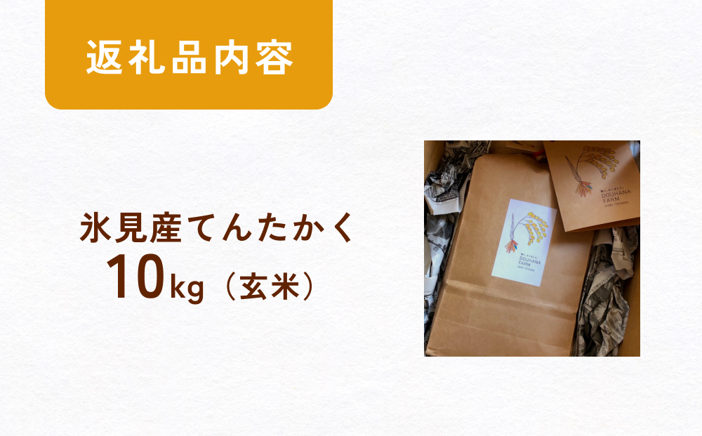 令和6年産 富山県氷見産 てんたかく玄米 10kg 富山県 氷見市 