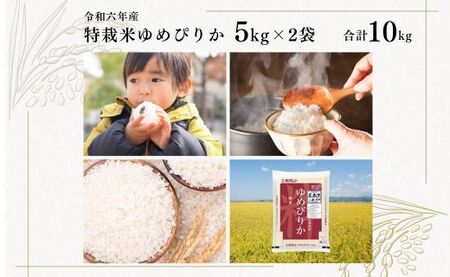 日経トレンディ「米のヒット甲子園」大賞受賞『特栽米ゆめぴりか5kg×2袋』