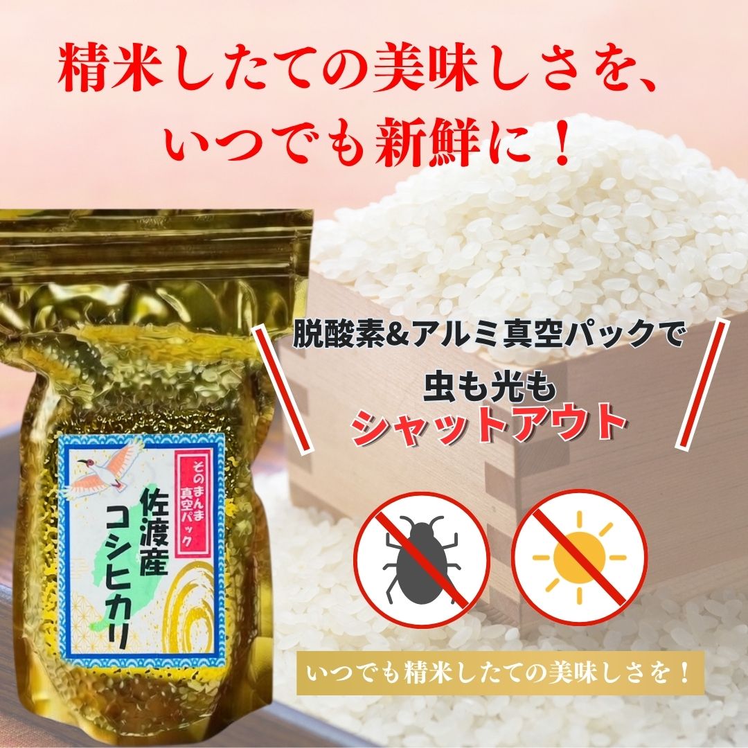 佐渡産コシヒカリ そのまんま真空パック 900g×12袋セット195978-0002