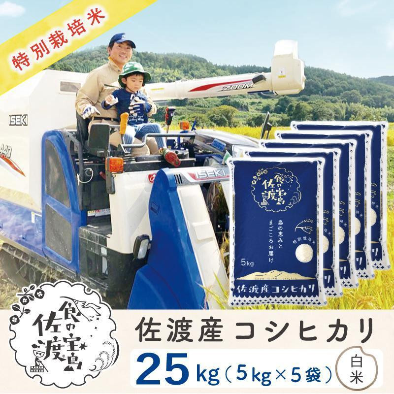 
            【新米】佐渡島産コシヒカリ 白米25Kg(5Kg×5袋)  特別栽培米 令和6年産 ”ベストファーマー認証受賞歴”
          