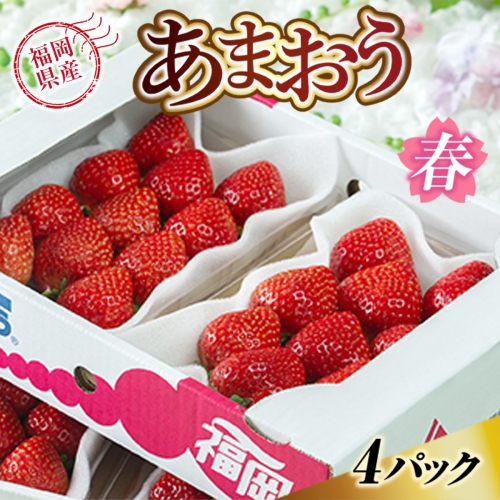 福岡産あまおう春4パック 先行予約※2024年2月上旬から2024年3月下旬に順次発送予定 　AX003