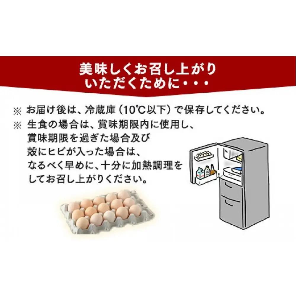 おがわのたまご Mサイズ 30個(27個＋割れ補償3個)×6か月｜たまご 【6ヶ月定期便】【毎月前半発送】