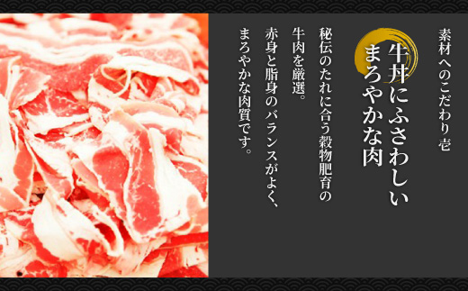 【定期便】吉野家　冷凍牛丼の具20食 × 4ヶ月(計80食)　