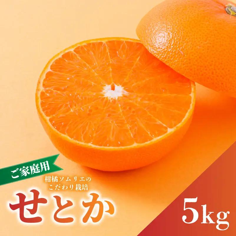 【2027年2月下旬から順次発送】せとか B品 家庭用 5kg | セトカ 愛媛産 愛媛県産 国産 愛媛みかん 愛媛蜜柑 愛媛ミカン みかん ミカン mikan 蜜柑 柑橘 フルーツ 果物 くだもの 