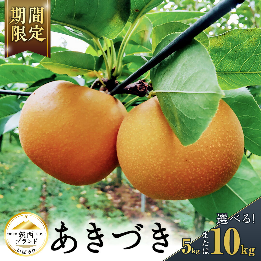 【ふるさと納税】【 JA 北つくば 】 筑西ブランド 認証品 あきづき ( 選べる 5kg 10kg ) 2025年産 先行予約 梨 果物 フルーツ なし ナシ 和梨 秋月 秋月梨 あきづき梨 くだもの デザート 茨城