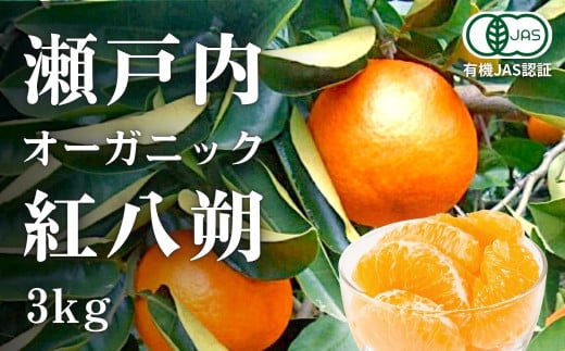 [予約] 1〜2月発送 オーガニック紅八朔 約3kg 国産 有機JAS認証 瀬戸内 広島 大崎上島 離島 有機栽培 柑橘 果物 オーガニック フルーツ ギフト 防腐剤不使用 ワックス不使用 無添加 安全 安心 送料無料 産地直送 中原観光農園