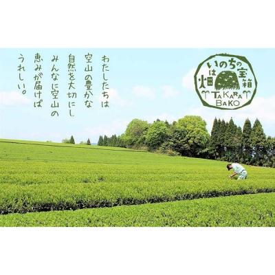 ふるさと納税 松江市 宝箱の有機茶ティーバック |  | 02