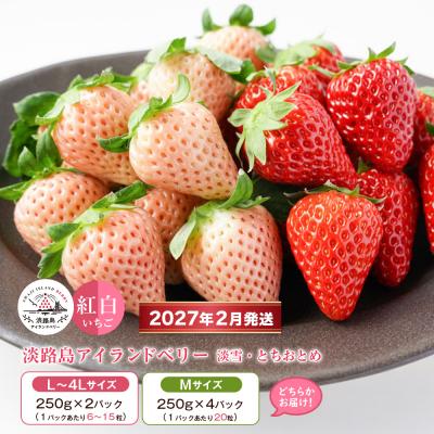 ふるさと納税 淡路市 淡路島アイランドベリー 紅白いちご 2〜4P入【2月発送受付・お届け日指定不可】　as14044