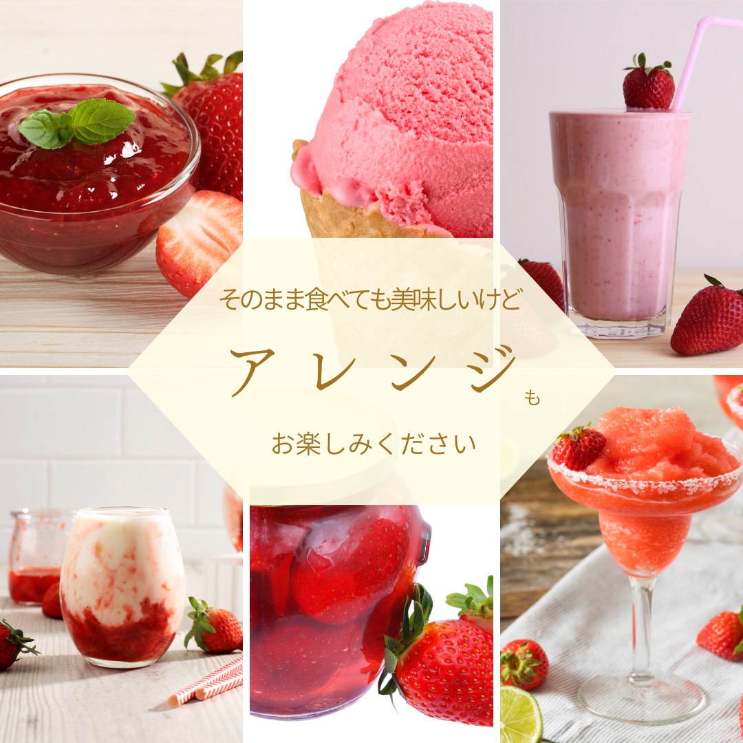 採れたて瞬間冷凍! 滋賀県愛荘町産 冷凍いちご 1kg(500g×2)品種ミックス 冷凍 いちご 紅ほっぺ よつぼし みおしずく あまえくぼ BJ05