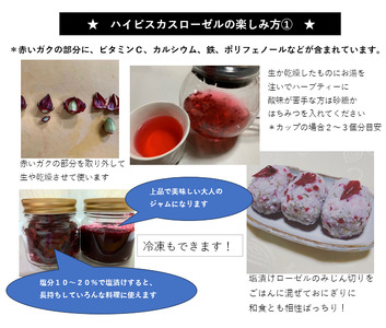 ＜塩ローゼル＞自然農育ちのハイビスカスローゼル 宮崎県三股町産 風味豊かなハーブの塩漬け 栽培期間中農薬不使用 ビタミンC カルシウム 鉄 ポリフェノール【MI624】【美香園】