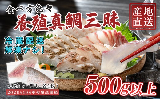 【先行受付】 朝獲れ 真鯛 フィーレ 皮付き 皮なし 500g以上 刺身 冷蔵 養殖 たい タイ マダイ セット 真空パック 産地直送 当日発送 鮮度抜群 鯛めし 鯛丼 カルパッチョ お取り寄せ ギフト 贈答 はやぶさ水産 四国 高知県 大月町 柏島産