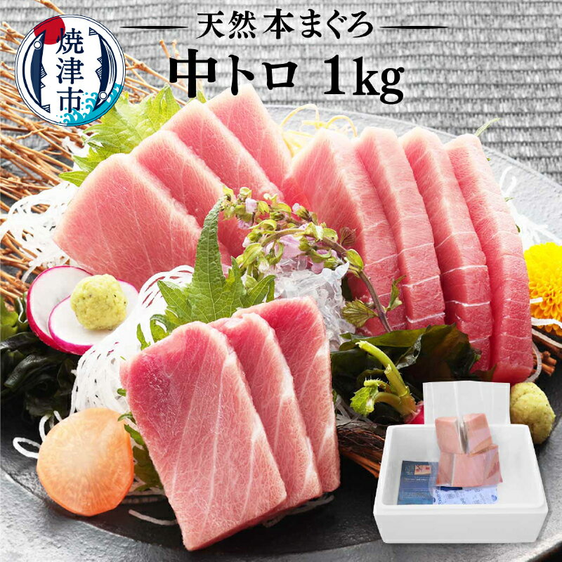 【ふるさと納税】 マグロ 中トロ 訳あり 刺身 冷凍 炙り ぶつ切り まぐろ専門店 天然 本まぐろ中トロ 1kg 希少 老舗 a23-028