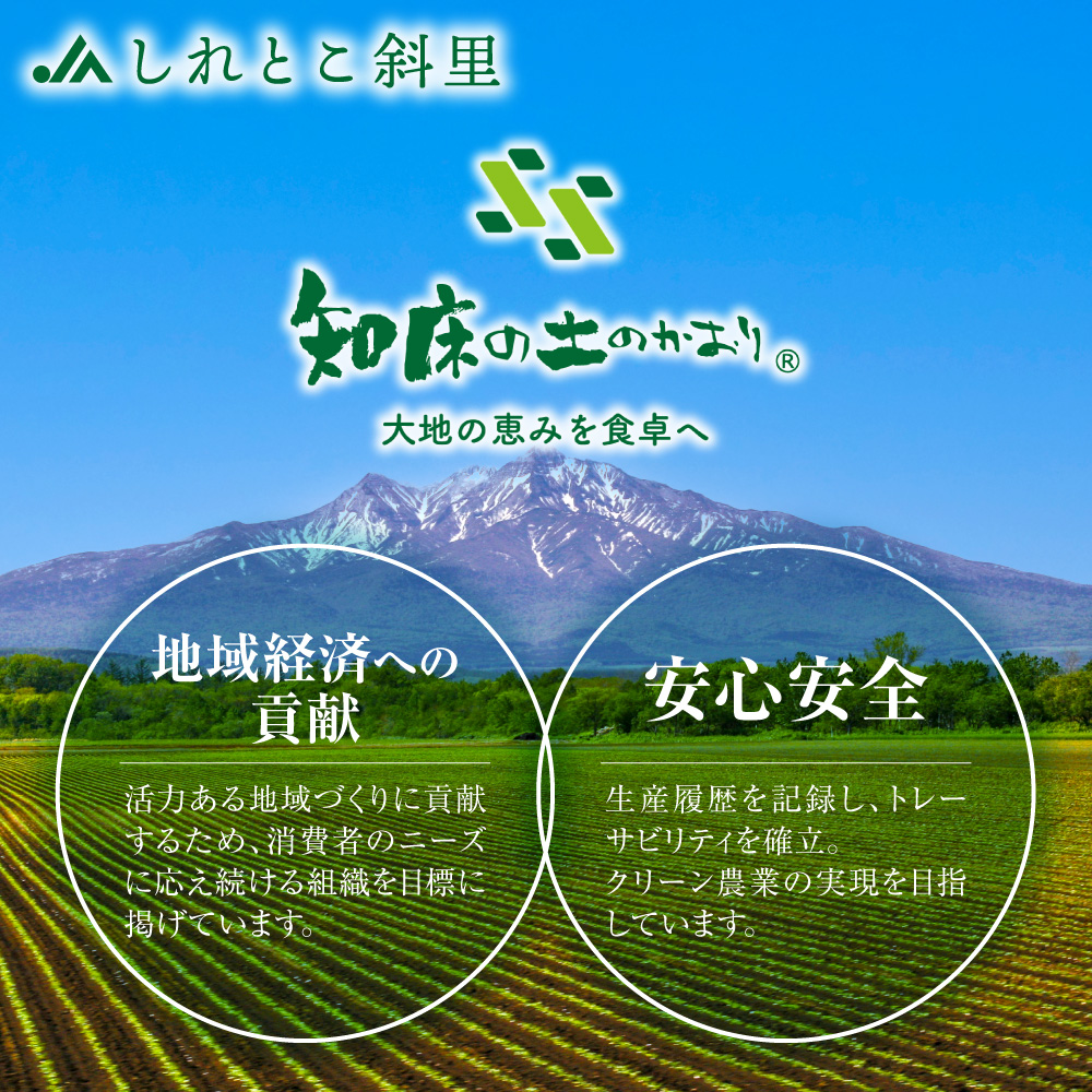 【先行予約】産地直送 知床の恵み凝縮!斜里の玉葱Lサイズ5kg　産地直送