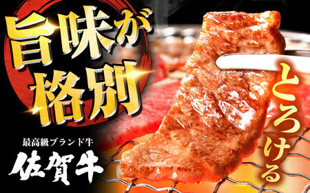【全6回定期便】高評価!  佐賀牛 カルビ 600g 肉 牛 牛肉 吉野ヶ里町/ミートフーズ華松[FAY103]