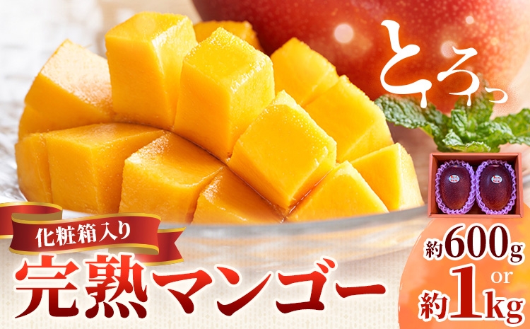 
                  鹿児島県産 完熟マンゴー 化粧箱入り 選べる内容量 約600g 約1kg 祝迫果樹園《6月中旬-7月中旬頃出荷》鹿児島県 さつま町 マンゴー 果実 果物 くだもの フルーツ 果肉 果汁 高級 ご褒美 贅沢 グルメ
                