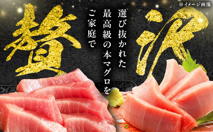【全12回定期便】対馬産 本マグロ 3種 計450g（赤身/中トロ/ネギトロ）《対馬市》【対海】[WAH014] マグロ まぐろ 鮪 本鮪 本マグロ 養殖 トロ 中トロ 中とろ 赤身 ねぎとろ ネギト