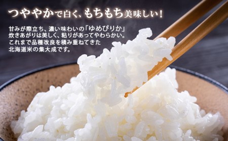 定期便 6ヶ月連続6回 北海道産 ゆめぴりか 精米 10kg 米 特A 白米 お取り寄せ ごはん 道産米 ブランド米 半年 お米 ご飯 米 おまとめ買い ホクレン 北海道 倶知安町 【定期便・お米・ゆ