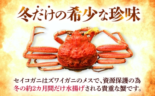 「若狭小浜港産地直送」 冷凍 セイコガニ (コッペガニ) ボイル 5杯 / 冷凍カニ 蟹 メズガニ 小浜市 / 加福鮮魚【配送不可地域：北海道・沖縄・離島】 [BFBC006] 