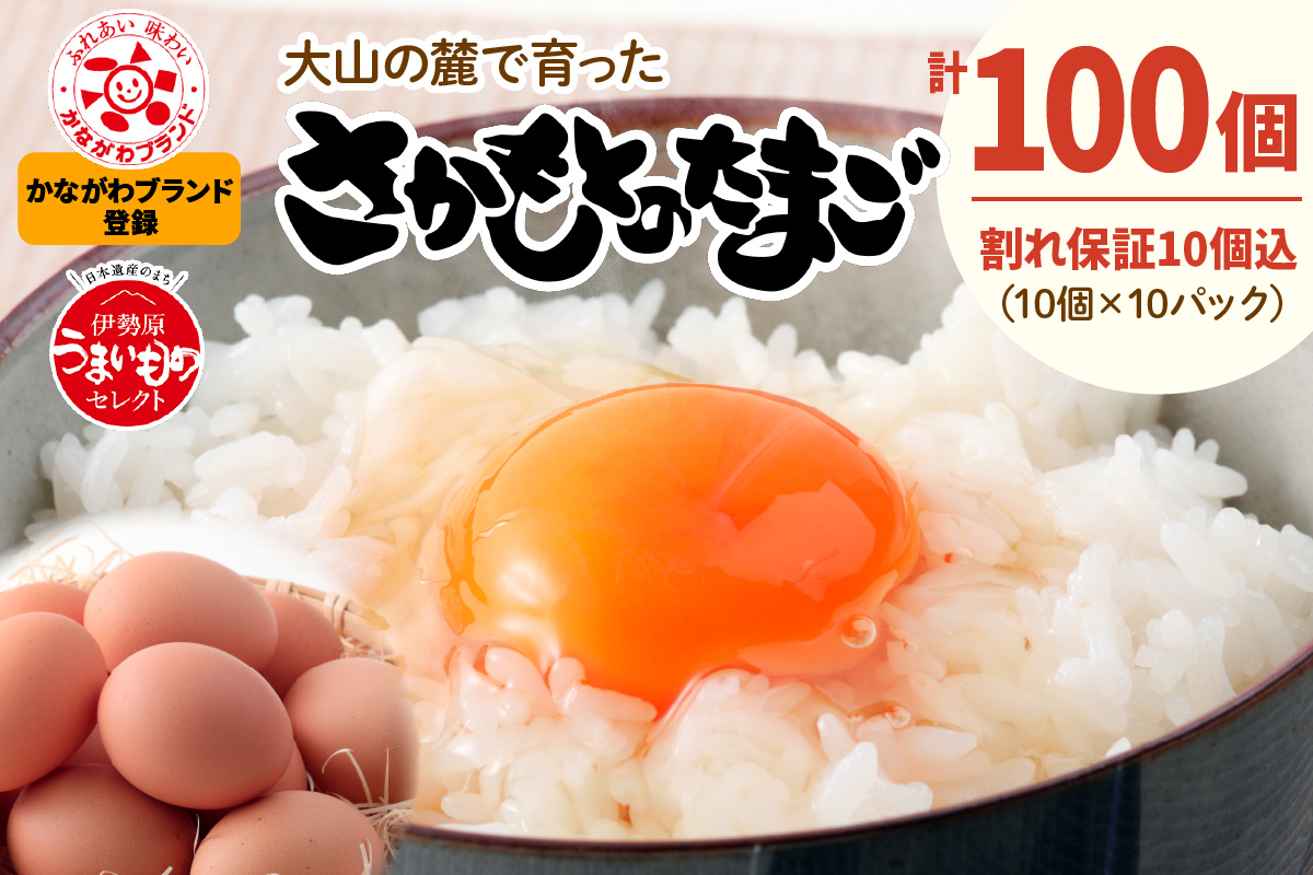 坂本養鶏 大山の麓で育った さかもとのたまご 100個 (90個＋割れ保証10個)｜伊勢原市 赤玉卵 玉子 鶏卵 生卵 国産 TKG タマゴ 新鮮 大山 鶏 ギフト 安心 安全 親子丼 卵焼き 目玉焼き お菓子 [0705]