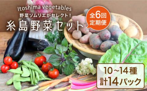 【全6回定期便】旬を味わう 『糸島野菜セット』 10～14種（計14パック） 年6回お届けコース イタリア野菜 オーガニック 野菜ソムリエ松永【vegeLabo】[AJB002]