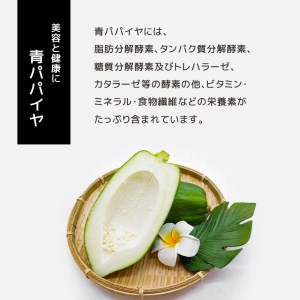 【2024年先行予約】青パパイヤ 野菜 健康野菜 2kg 真岡市産