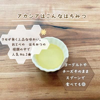 ふるさと納税 乙部町 &lt;おとべのはちみつ アカシア500g×1本&gt;