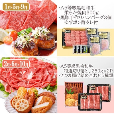 定期便(4回配送)A5・A4等級黒毛和牛＆黒豚・かつお・さつまあげ NN-0040【配送不可地域：離島】