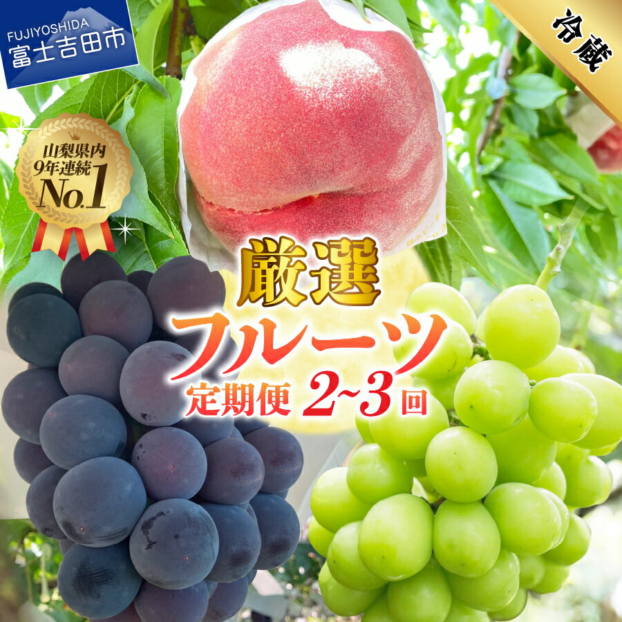 【ふるさと納税】 ★総合ランキング常連！★ 2026年 定期便 フルーツ 桃 シャインマスカット 黒ぶどう 選べる回数 2回 3回 白鳳 白桃 もも ブドウ 500g以上 果物 高レビュー 期間限定 【2026年7月中旬頃～10月中旬頃まで順次発送】 富士吉田 ふるさと納税 ランキング
