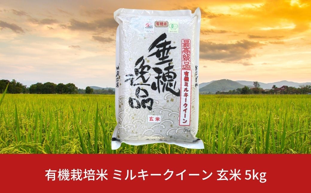 
            有機栽培米 ミルキークイーン 玄米 5kg 新潟県産 三条市産 米 令和7年産 [佐藤農産有機センター] 【010S170】
          