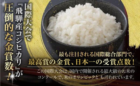 【定期便 6ヶ月】（全6回）令和7年産 飛騨コシヒカリ 白米 10kg | こしひかり 飛騨こしひかり お米 コメ 精米 飛騨産 飛騨高山 JAひだ GS102