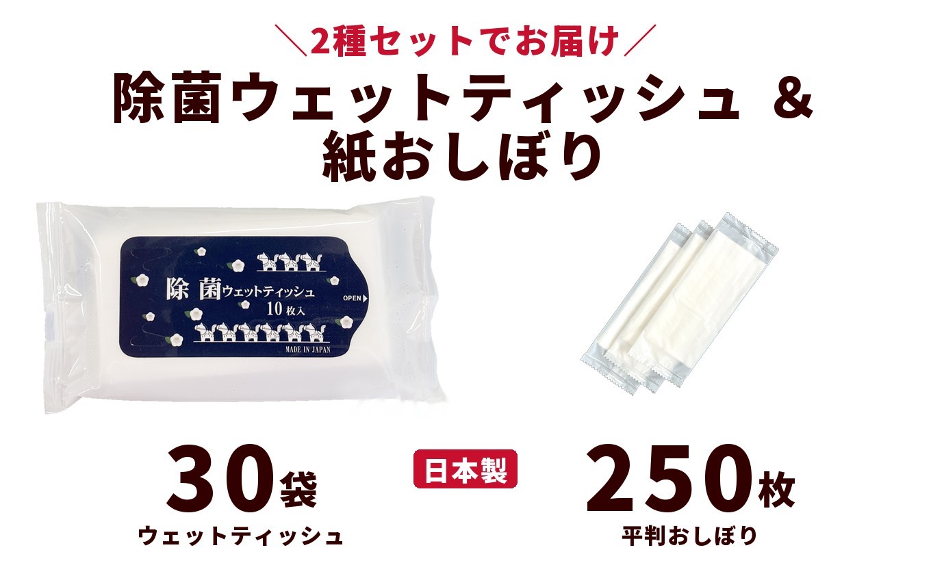 
                  干支デザイン除菌ウェットティッシュ＆紙おしぼり平判セット（30袋＋250枚）｜日用品 消耗品 業務用
                